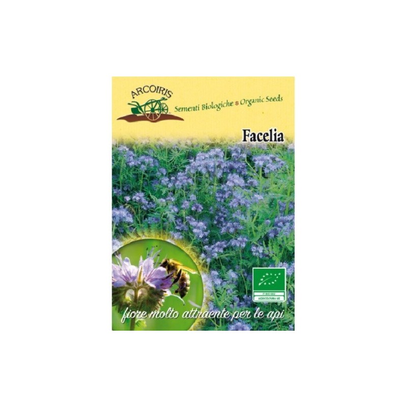 Facelia (Phacelia tanacetifolia) semillas ecologicas