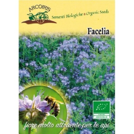 Facelia (Phacelia tanacetifolia) semillas ecologicas
