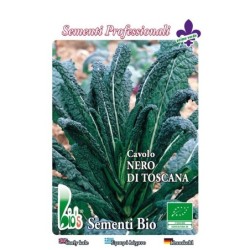 kale nero di Toscana - semillas ecologicas