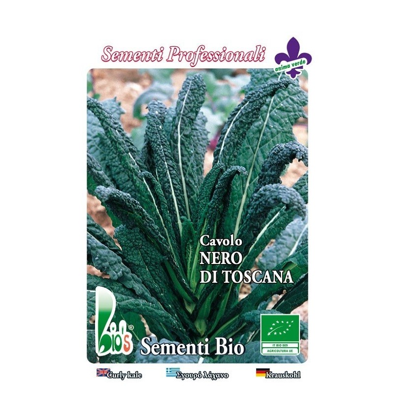 kale nero di Toscana - semillas ecologicas