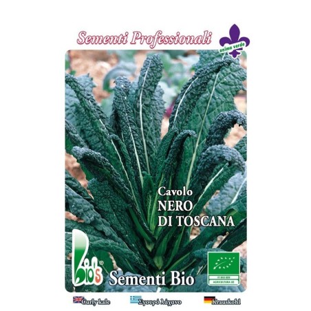 kale nero di Toscana - semillas ecologicas
