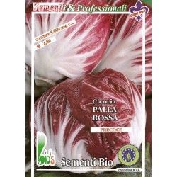 achicoria rossa palla 3 semillas ecologicas