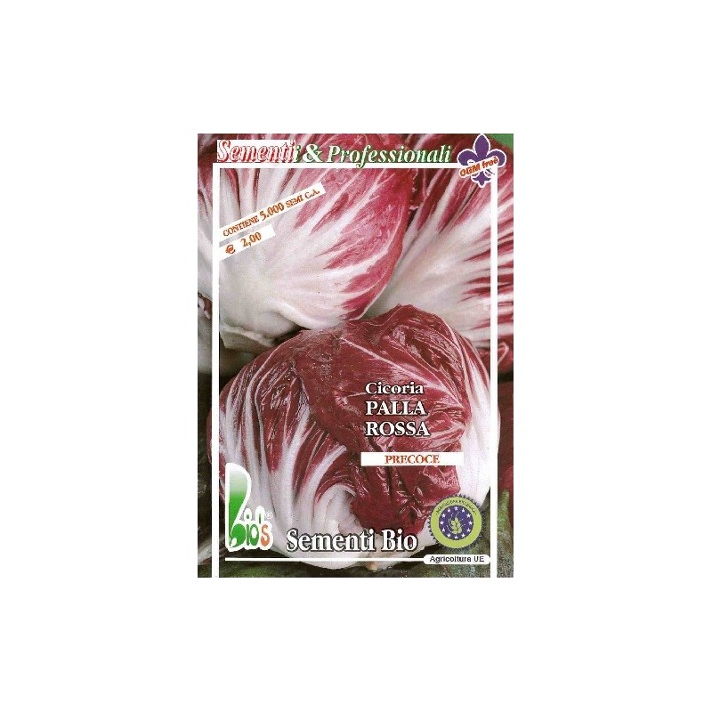 achicoria rossa palla 3 semillas ecologicas