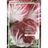 achicoria rossa palla 3 semillas ecologicas