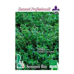tomillo (thimus vulgaris) - semillas ecologicas