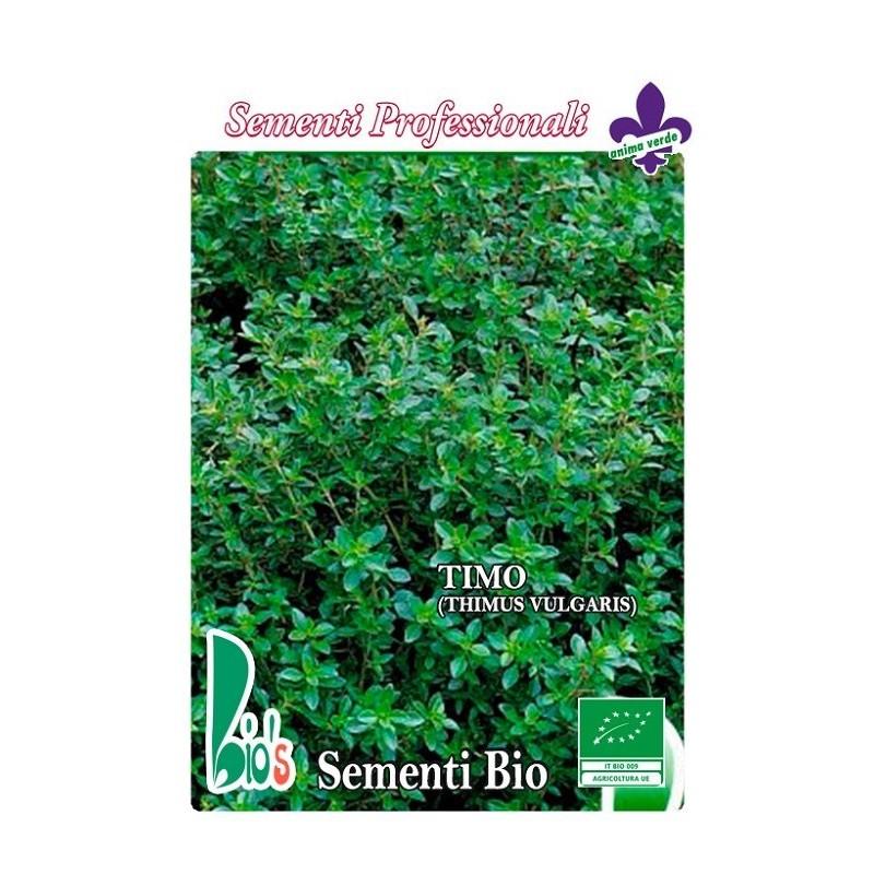 tomillo (thimus vulgaris) - semillas ecologicas