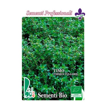 tomillo (thimus vulgaris) - semillas ecologicas