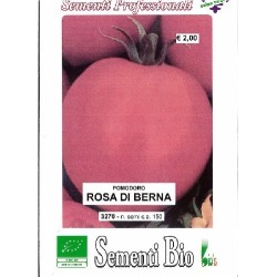 tomate rosa de Berna (semillas ecologicas)