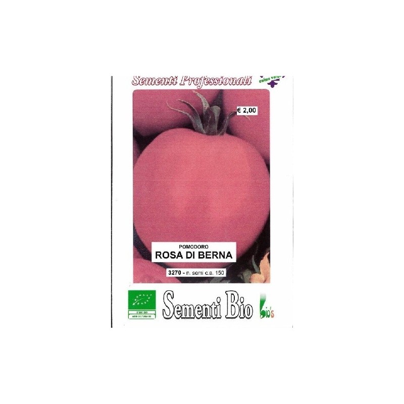 tomate rosa de Berna (semillas ecologicas)