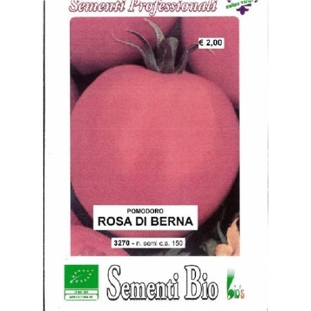 tomate rosa de Berna (semillas ecologicas)