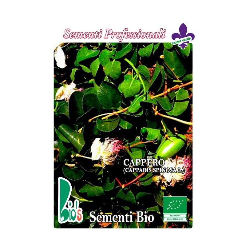 alcaparra (capparis spinosa) - semillas ecologicas