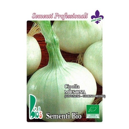 cebolla blanca musona de junio (semillas ecologicas)