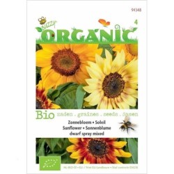 girasol enano spray mixed  (semillas ecologicas)