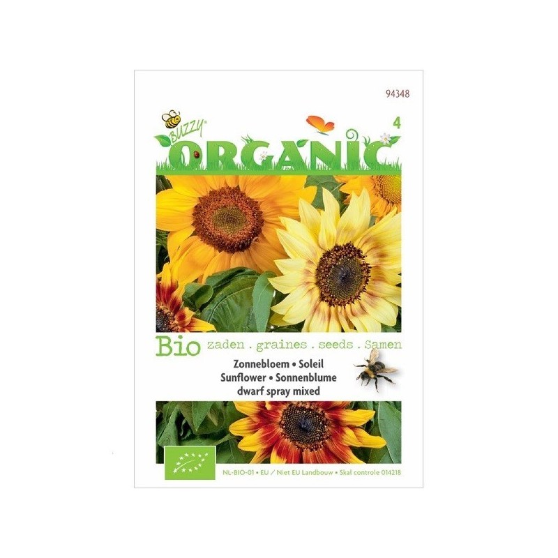 girasol enano spray mixed  (semillas ecologicas)