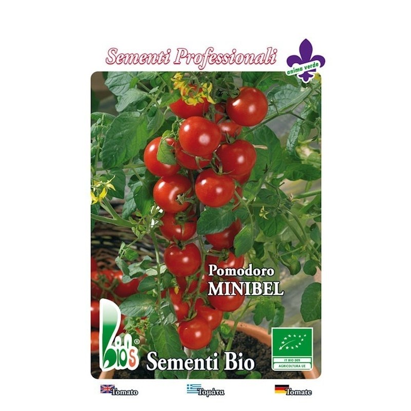 tomate cherry rojo tondino maremmano (semillas ecologicas)