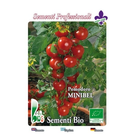 tomate cherry rojo tondino maremmano (semillas ecologicas)