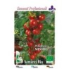 tomate cherry rojo tondino maremmano (semillas ecologicas)