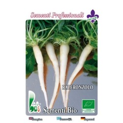 rapÃ³nchigo  (campanula rapunculus) - semillas ecologicas