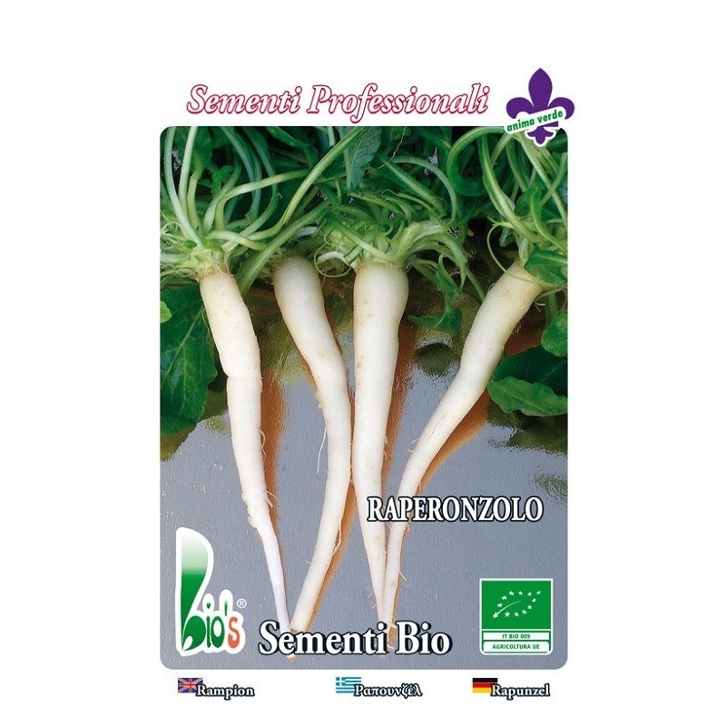 rapÃ³nchigo  (campanula rapunculus) - semillas ecologicas