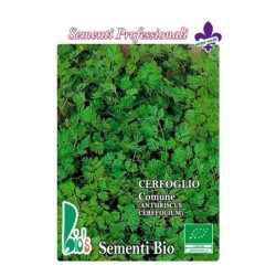 perifollo comun (anthriscus cerefolium) - semillas ecologicas