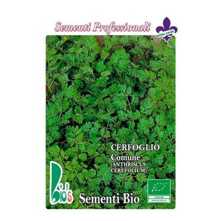 perifollo comun (anthriscus cerefolium) - semillas ecologicas