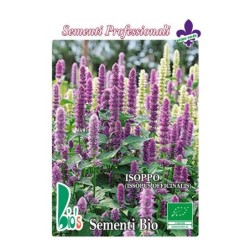 hisopo (hyssopus officinalis) - semillas ecologicas