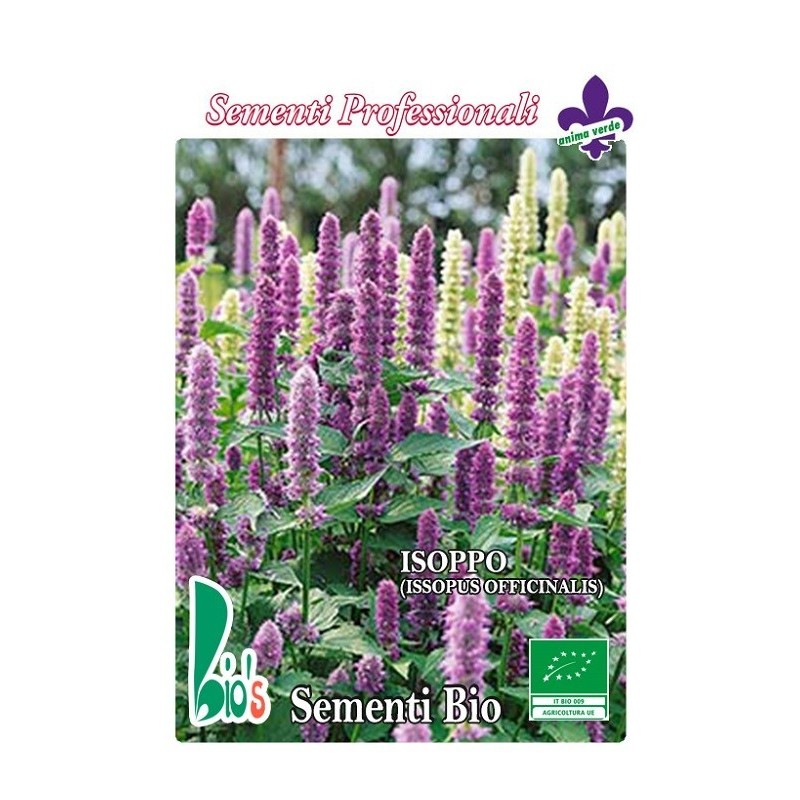 hisopo (hyssopus officinalis) - semillas ecologicas