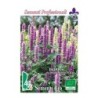 hisopo (hyssopus officinalis) - semillas ecologicas