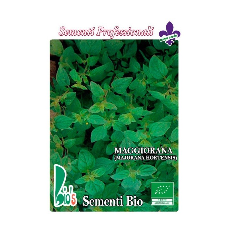 mejorana (majorana hortensis) - semillas ecologicas