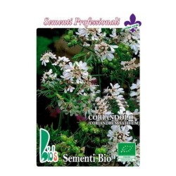 cilantro (semillas ecolÃ³gicas)