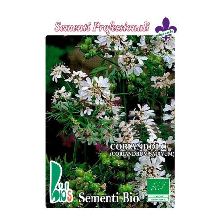 cilantro (semillas ecolÃ³gicas)