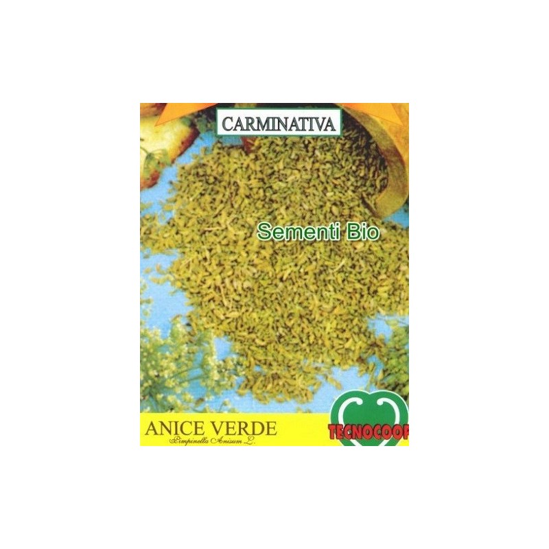 anis (pimpinella anisum) - semillas ecologicas