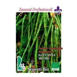 judÃ­a de metro (semillas ecolÃ³gicas)