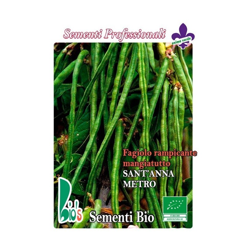 judÃ­a de metro (semillas ecolÃ³gicas)