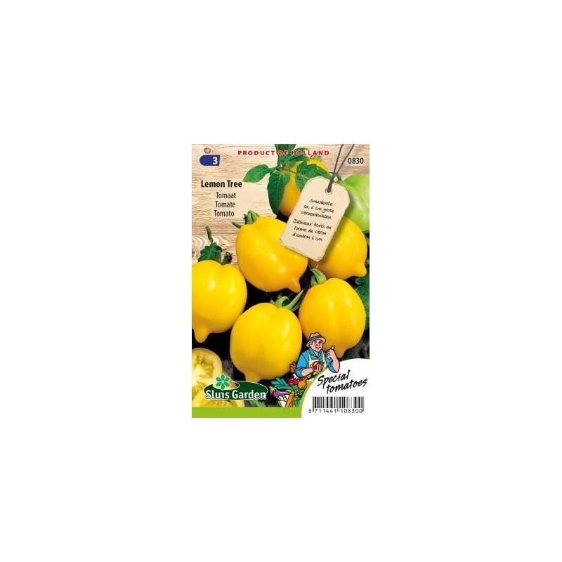 tomate lemon tree