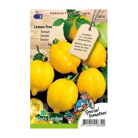 tomate lemon tree