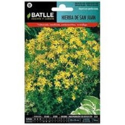 hierba de San Juan - (hypericum perforatum)