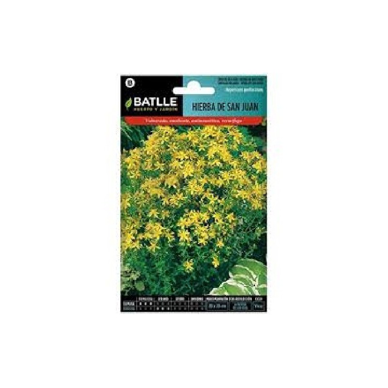 hierba de San Juan - (hypericum perforatum)