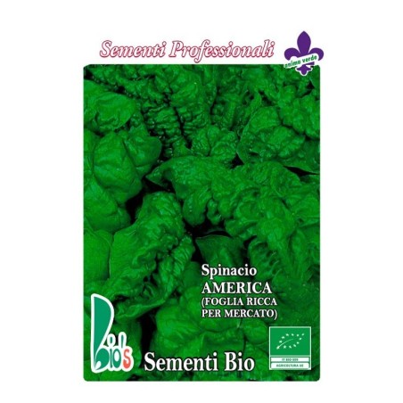 espinaca America tardÃ­a - semillas ecologicas