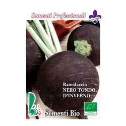 rÃ¡bano negro - semillas ecologicas