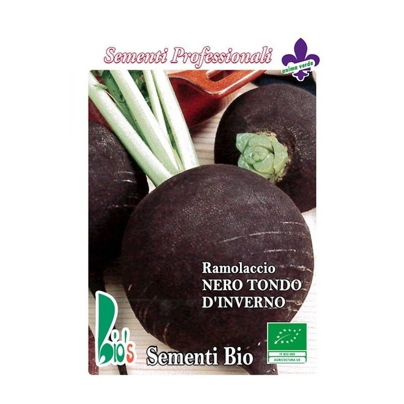 rÃ¡bano negro - semillas ecologicas