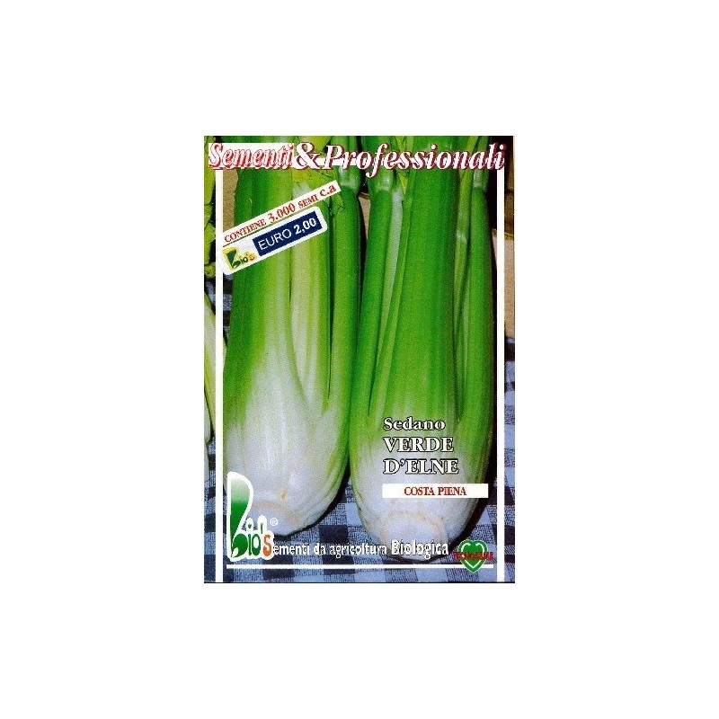 apio verde dÂ´Elne - semillas ecologicas