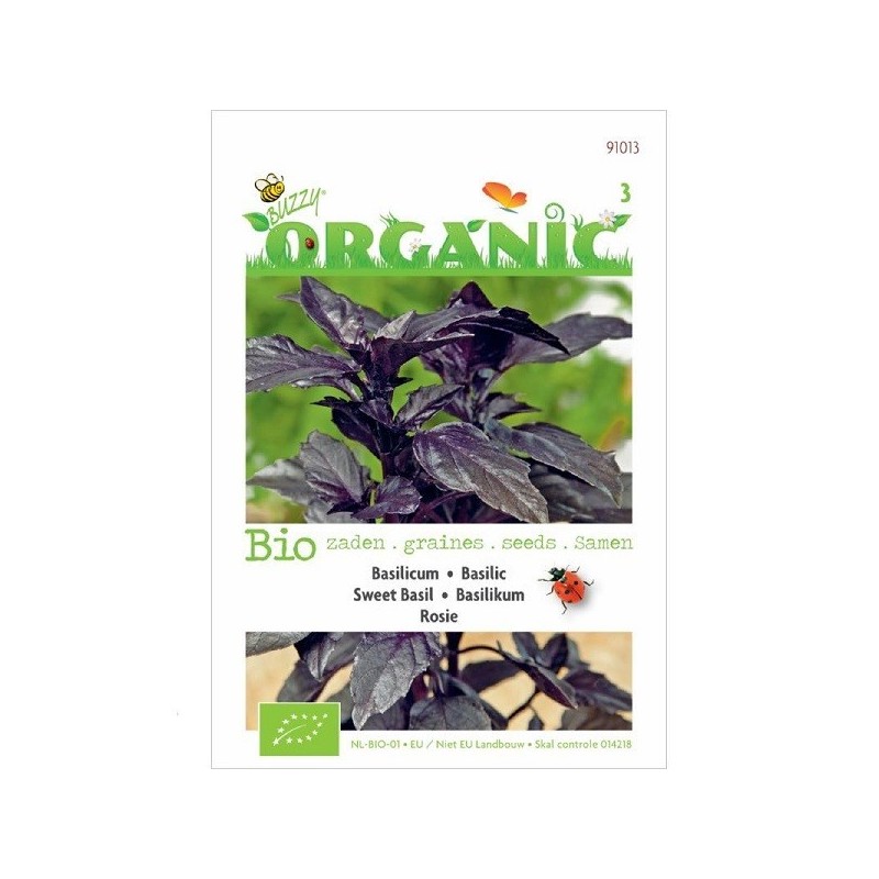 albahaca rosie (semillas ecologicas)