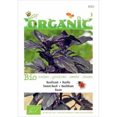 albahaca rosie (semillas ecologicas)