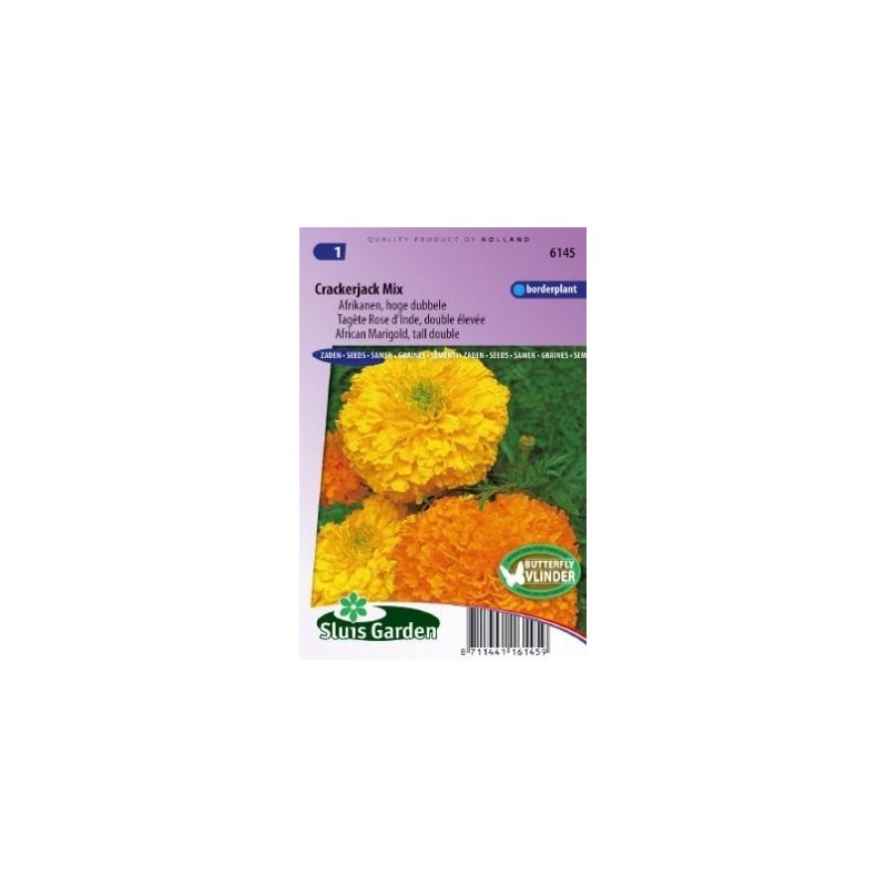 tagete Crackerjack Mix (Tagetes erecta)