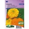 tagete Crackerjack Mix (Tagetes erecta)