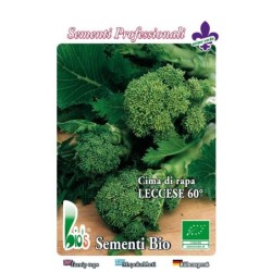 brocoli rapa de Lecce 60 dias - semillas ecologicas