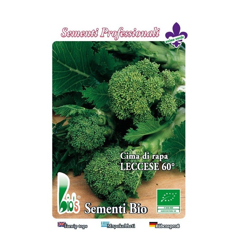 brocoli rapa de Lecce 60 dias - semillas ecologicas