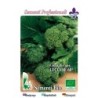 brocoli rapa de Lecce 60 dias - semillas ecologicas