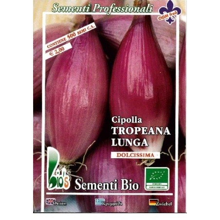 cebolla tropeana larga semillas ecologicas